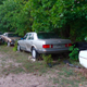 Illustration for article titled One Year Later, Michigan Man Ordered to Sell 20 Cars a Month Is Out 160 Cars but Remains Upbeat